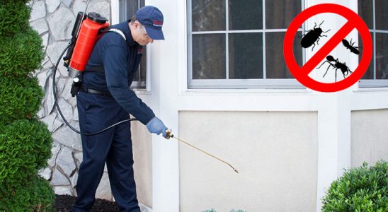 Gümüşhane Karınca İlaçlama böcek ilaçlama ve haşere kontrolü — ilaclama-tr.com